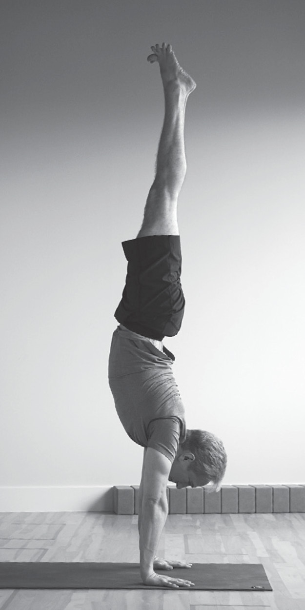 Adamantine Yoga - Cooper Smith + Company
